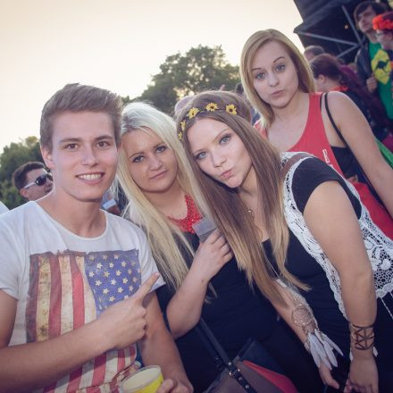 Donauinselfest 2015 - Day 3 @ Donauinsel Part II