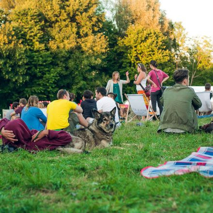 Donauinselfest 2015 - Day 3 @ Donauinsel Part III