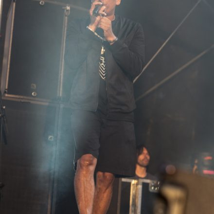 Xavier Naidoo - FREI SEIN OPEN AIR 2015 @ Praterwiese