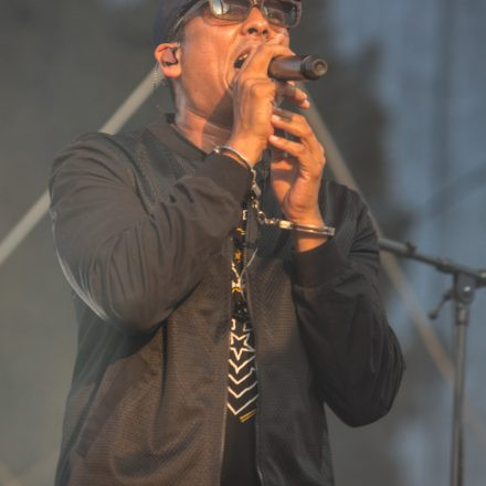 Xavier Naidoo - FREI SEIN OPEN AIR 2015 @ Praterwiese