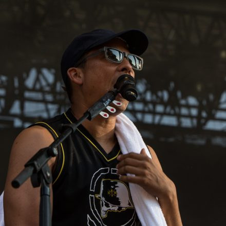 Xavier Naidoo - FREI SEIN OPEN AIR 2015 @ Praterwiese