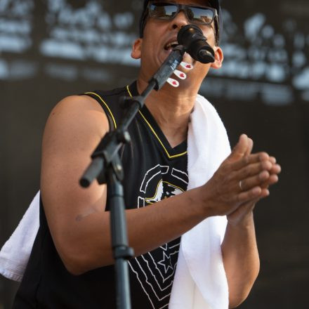 Xavier Naidoo - FREI SEIN OPEN AIR 2015 @ Praterwiese