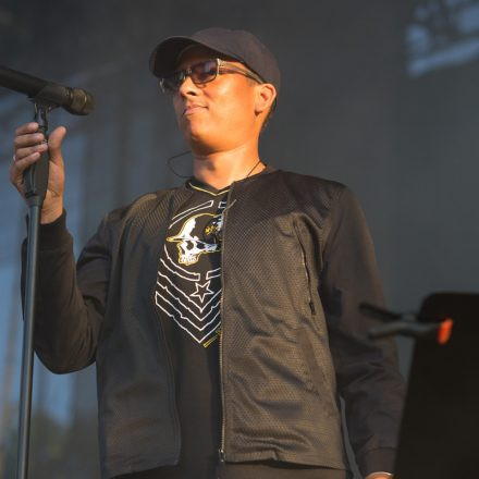 Xavier Naidoo - FREI SEIN OPEN AIR 2015 @ Praterwiese