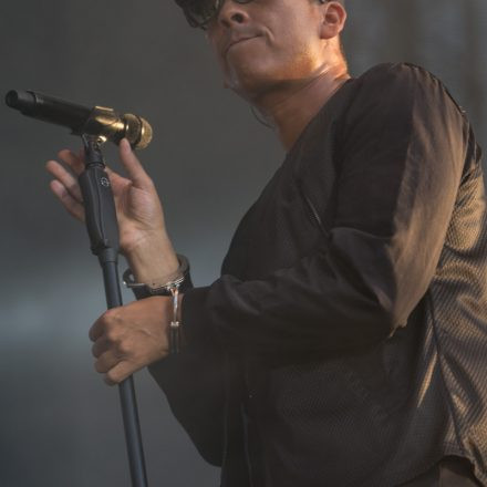 Xavier Naidoo - FREI SEIN OPEN AIR 2015 @ Praterwiese