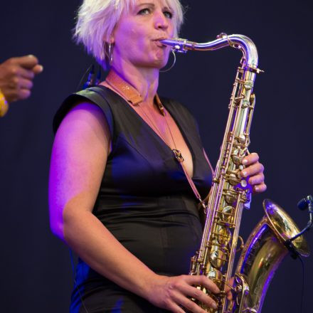 The Nova Jazz & Blues Night Festival 2015 @ Ottakringer Arena Wiesen