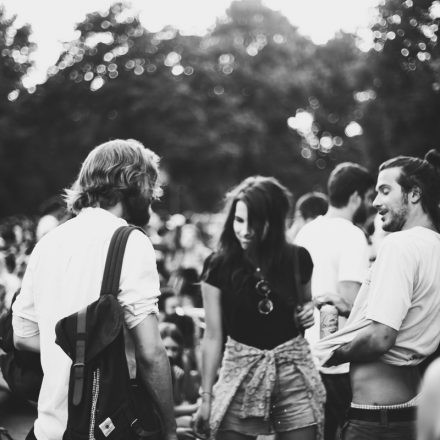 Popfest 2015 @ Karlsplatz (Pix by Sergiu Andres)