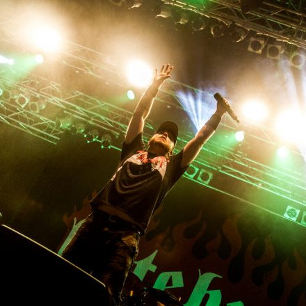 Metaldays Festival 2015 - Day 3@ Tolmin