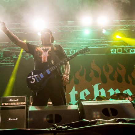 Metaldays Festival 2015 - Day 3@ Tolmin