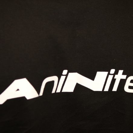 Aninite 2015 @ Multiversum