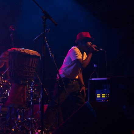 Irie Revoltes @ Arena Wien (Pix by Christina Pichler)