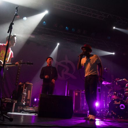 Irie Revoltes @ Arena Wien (Pix by Christina Pichler)