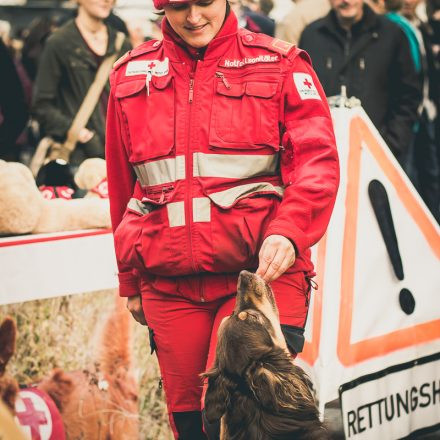 Wiener Sicherheitsfest 2015 // Tag 2 @ Rathausplatz