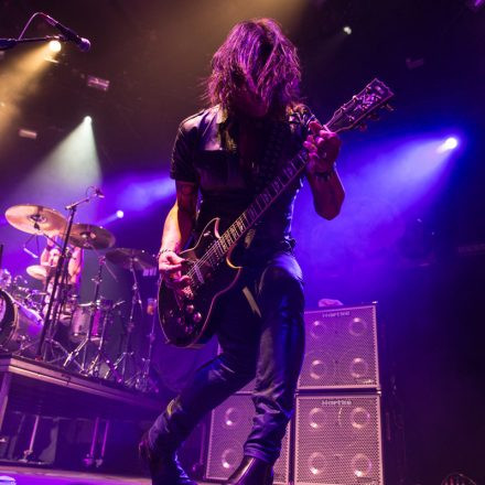 Whitesnake