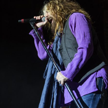 Whitesnake