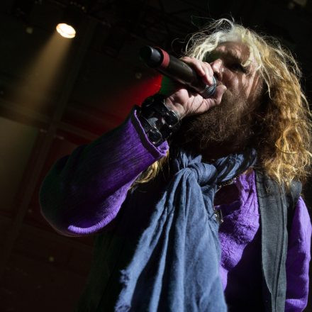 Whitesnake