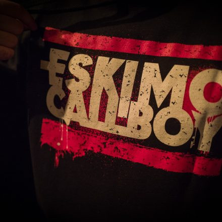 Eskimo Callboy @ Flex