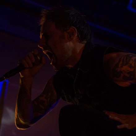 Donots @ Arena