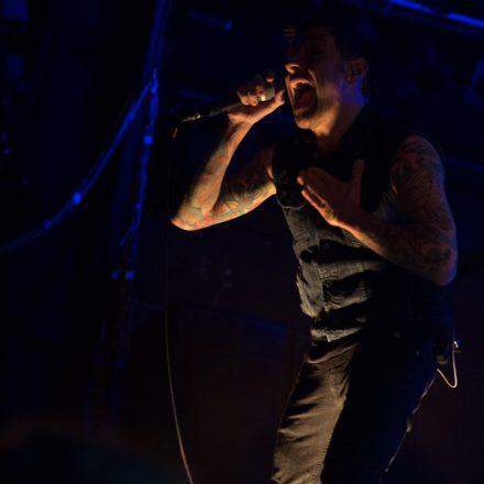 Donots @ Arena