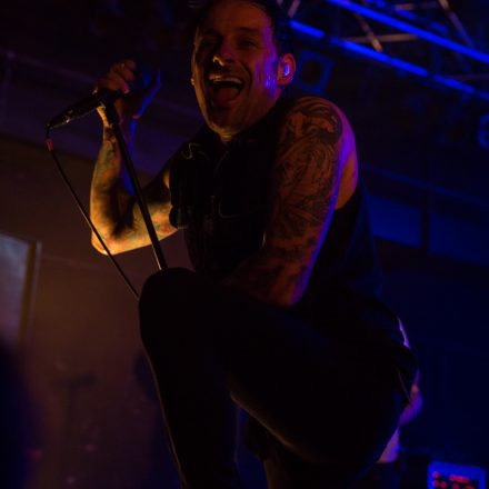 Donots @ Arena