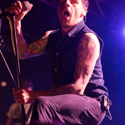 Donots @ Arena