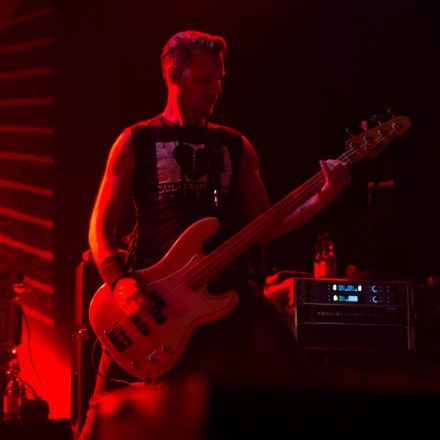 Donots @ Arena
