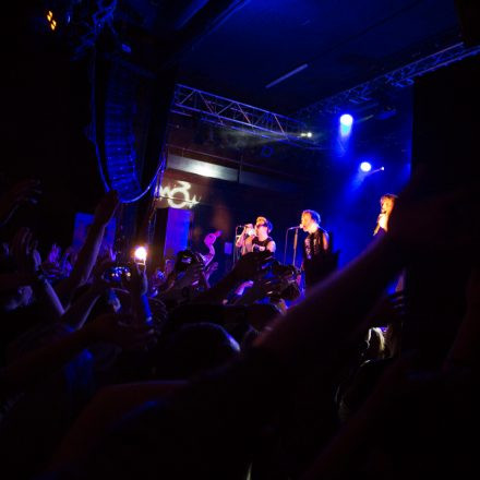 Donots @ Arena