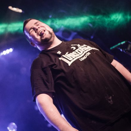 Feine Sahne Fischfilet