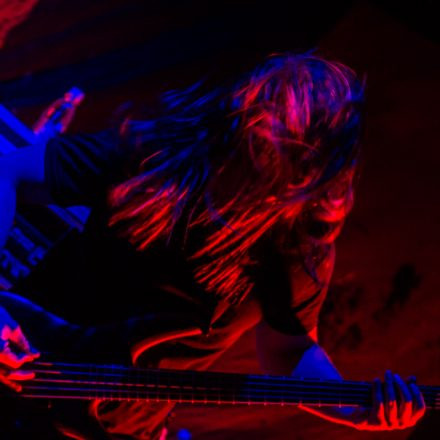 Parkway Drive @ Zenith München (Pics by Stefan Tschapeller)