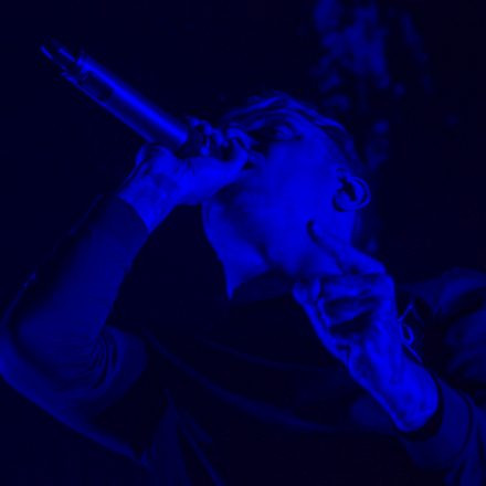 Parkway Drive @ Zenith München (Pics by Stefan Tschapeller)