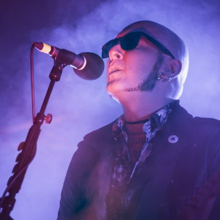 Sisters of Mercy