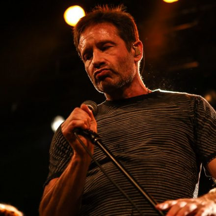 David Duchovny @ Arena Wien