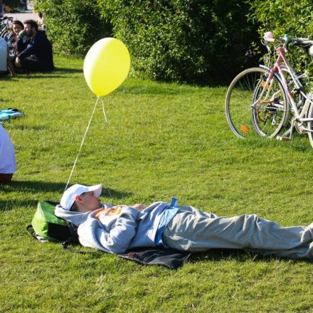 Van der Bellen presidential Rave @ Heldenplatz Wien