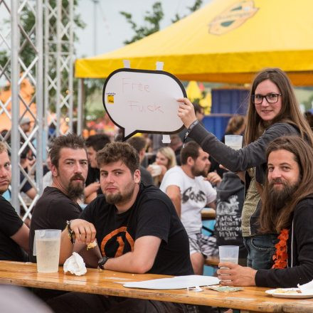 BEST OF NOVA ROCK FESTIVAL 2016