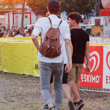 Donauinselfest 2016 - Tag1 @ Donauinsel Wien Part V