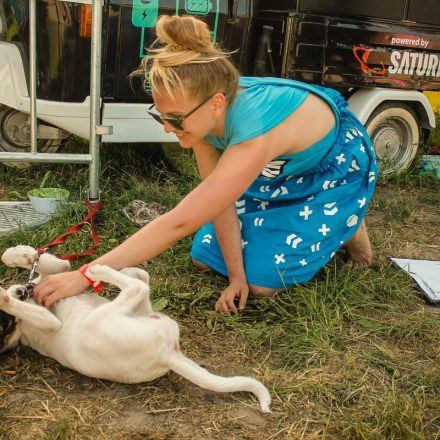 Donauinselfest 2016 - Tag 2 @ Donauinsel Wien Part V