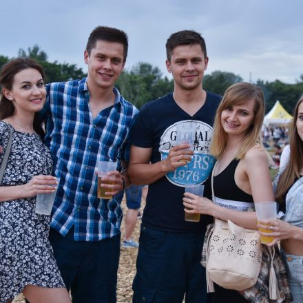 Donauinselfest 2016 - Tag 3 @ Donauinsel Wien Part II