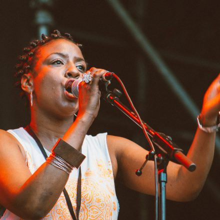 Vienna Sunsplash Festival