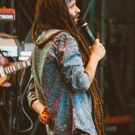 Vienna Sunsplash Festival