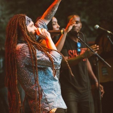 Vienna Sunsplash Festival