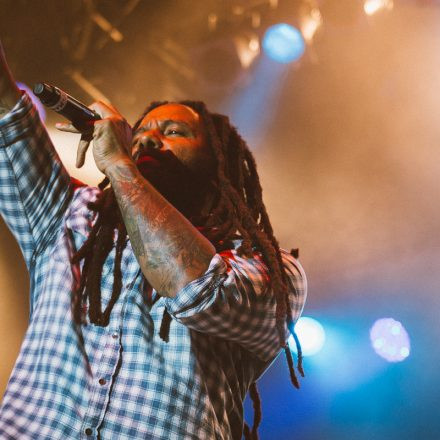 Vienna Sunsplash Festival