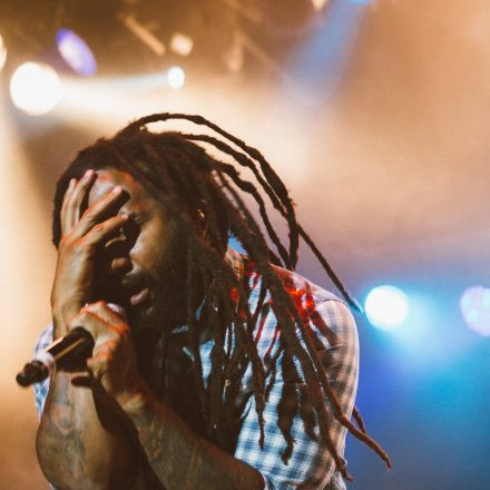 Vienna Sunsplash Festival