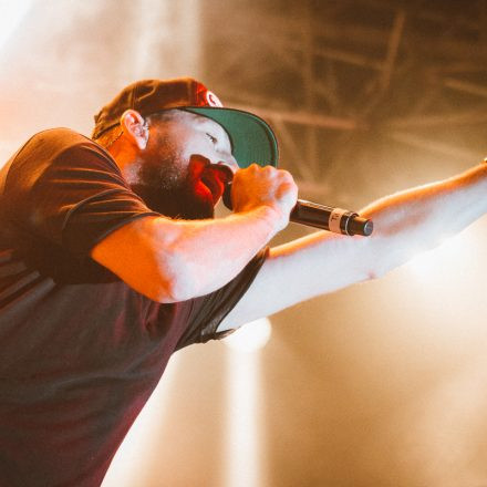 Vienna Sunsplash Festival