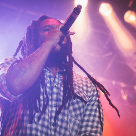 Vienna Sunsplash Festival