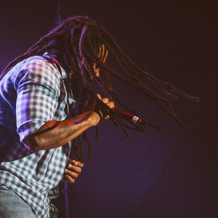 Vienna Sunsplash Festival
