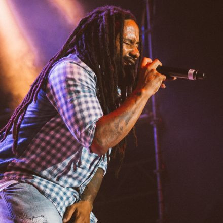 Vienna Sunsplash Festival