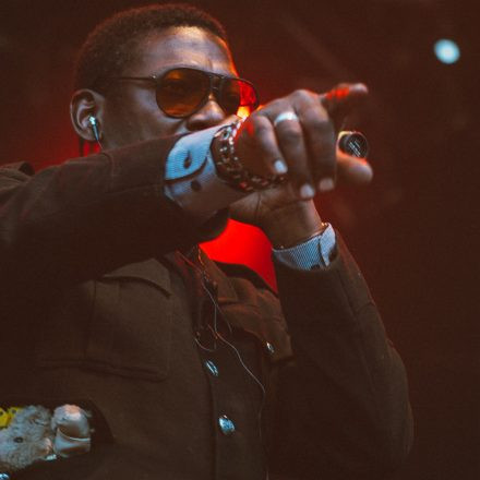 Vienna Sunsplash Festival