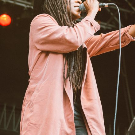 Vienna Sunsplash Festival