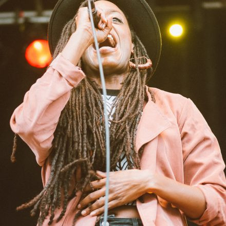 Vienna Sunsplash Festival