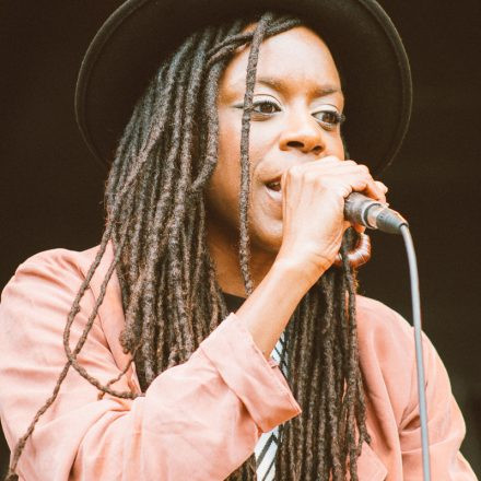 Vienna Sunsplash Festival