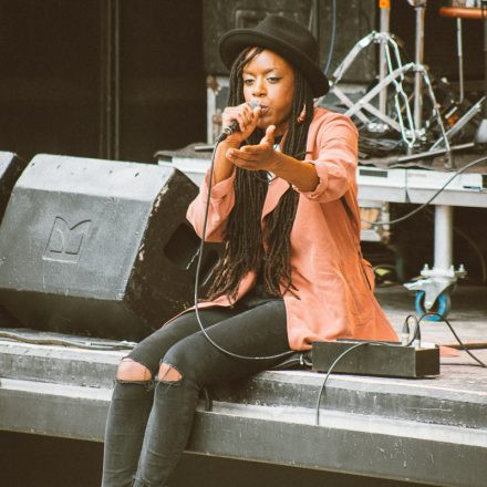 Vienna Sunsplash Festival